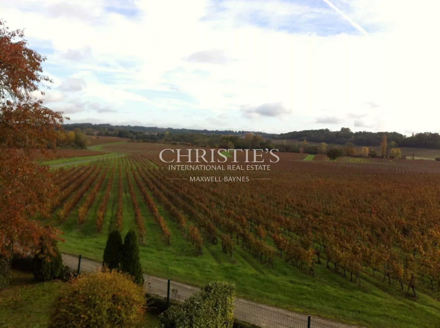 Très beau domaine viticole - satellite de Saint-Emilion avec luxueux Château