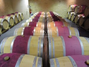 Très beau domaine viticole - satellite de Saint-Emilion avec luxueux Château