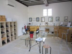 Très beau domaine viticole - satellite de Saint-Emilion avec luxueux Château