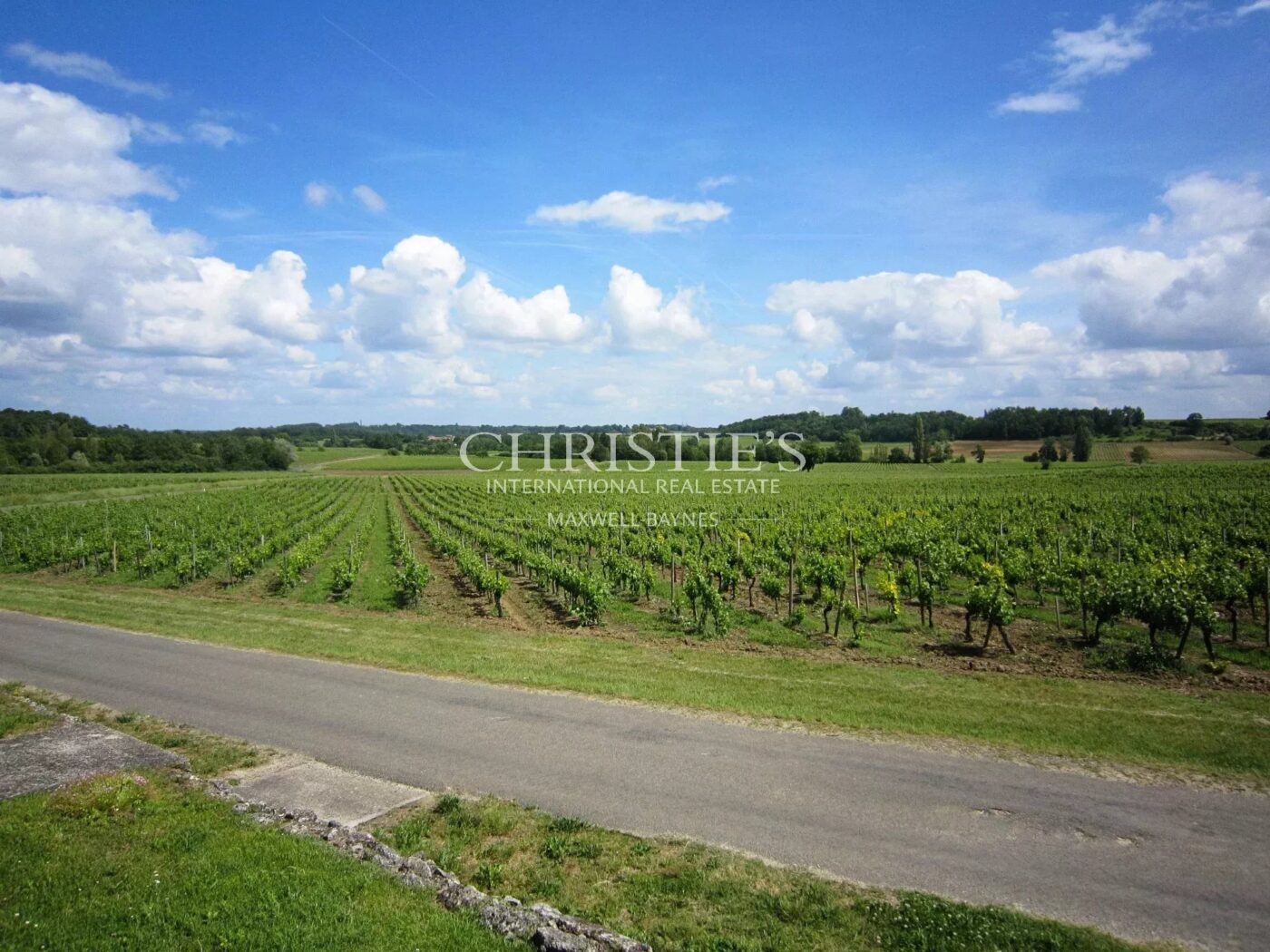Très beau domaine viticole - satellite de Saint-Emilion avec luxueux Château