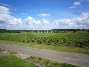 Très beau domaine viticole - satellite de Saint-Emilion avec luxueux Château