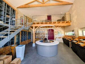 Superbe domaine viticole – Satellite de Saint-Émilion avec somptueux Château