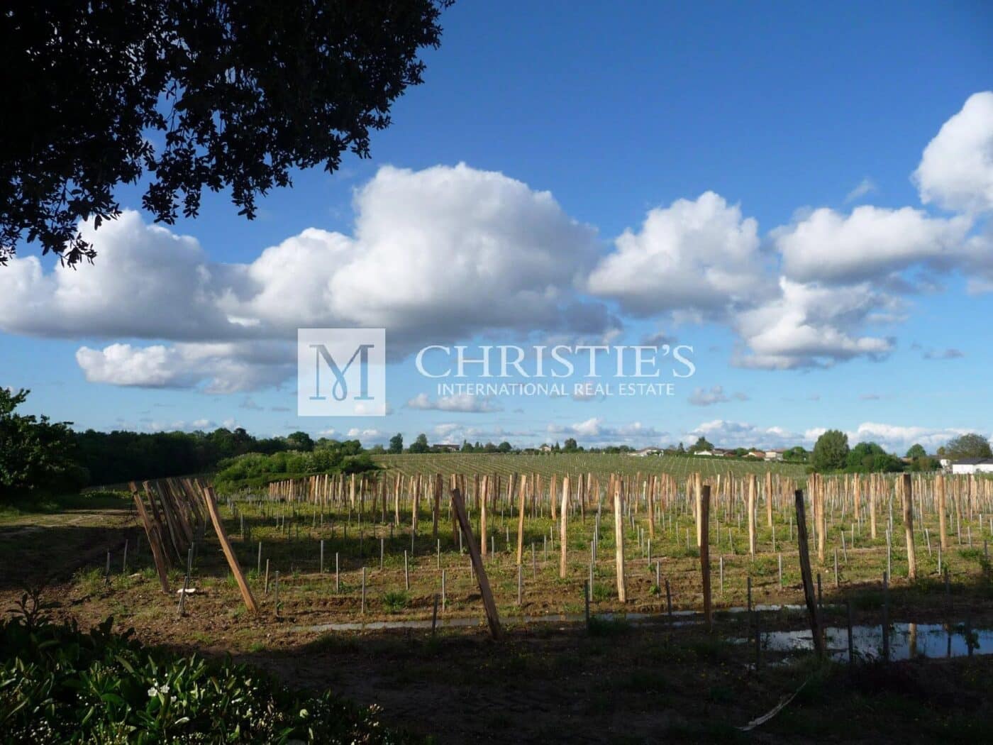 占地约 35 公顷靠近波尔多历史悠久的漂亮葡萄酒庄园