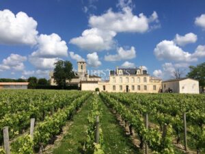 Beau Château à vendre avec 1 ha en AOC Médoc