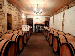 Opportunité rare - Propriété viticole exceptionnelle en St Emilion Grand Cru
