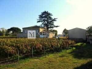 Propriété viticole rare en St Emilion Grand Cru & Bordeaux Supérieur