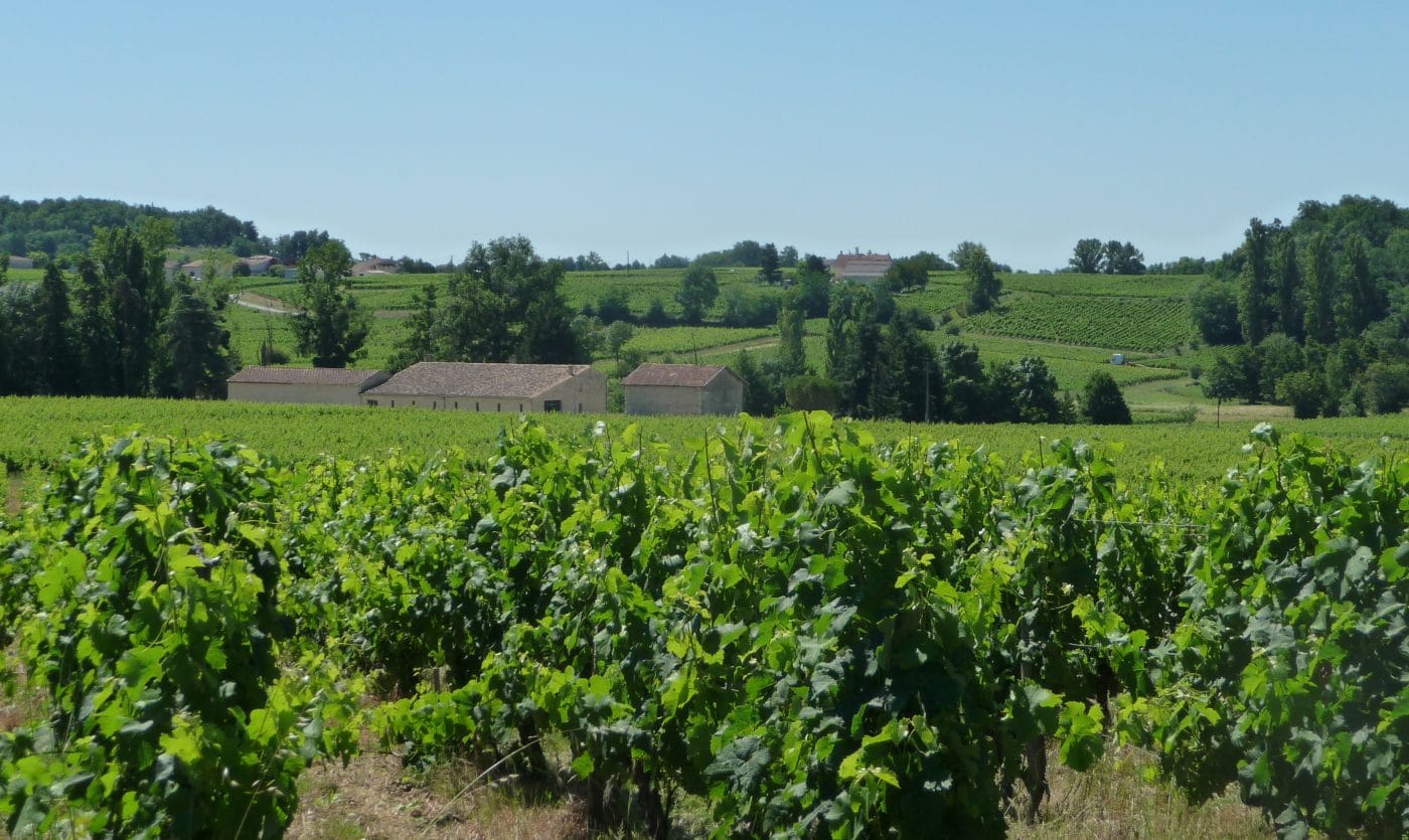 Un investisseur Australien choisit Bordeaux