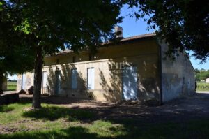 Propriété viticole à vendre au cœur de Saint-Emilion