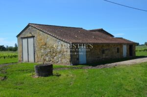 Propriété viticole à vendre au cœur de Saint-Emilion