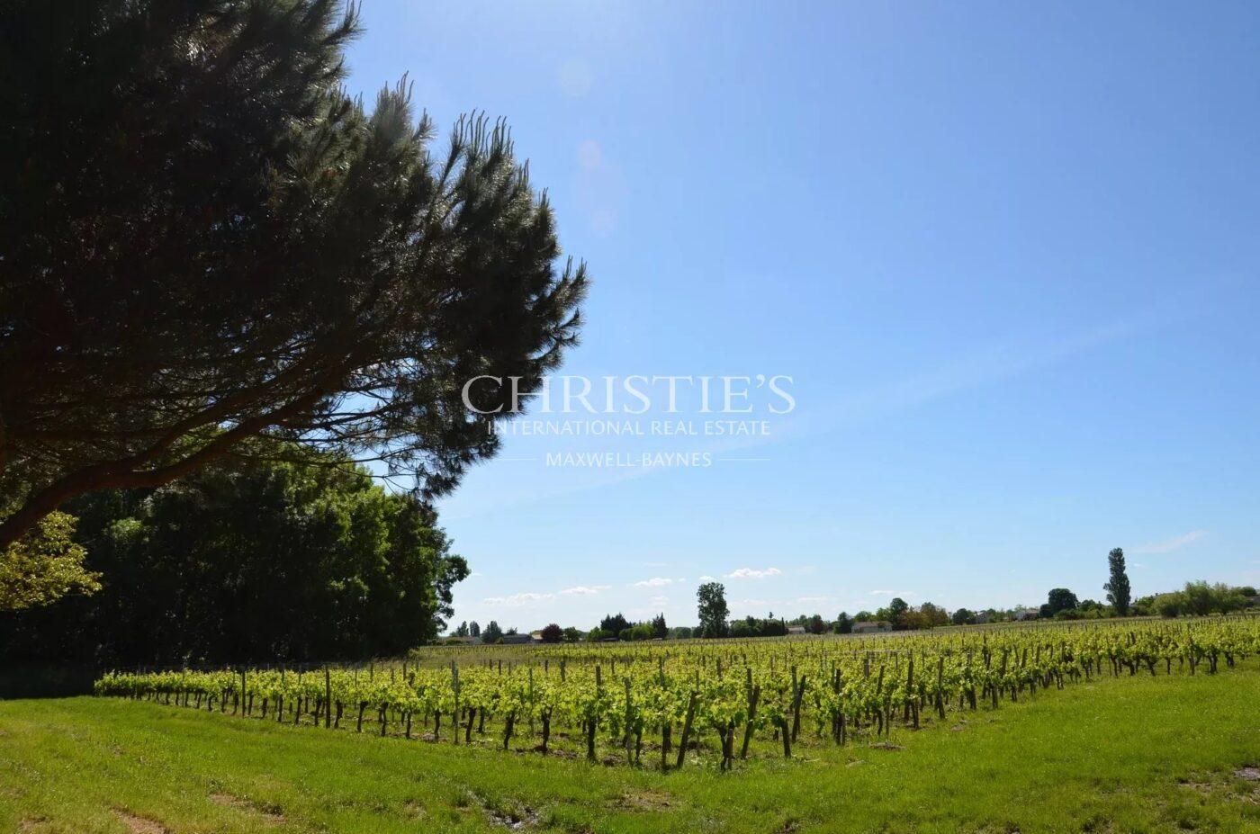 Propriété viticole à vendre au cœur de Saint-Emilion