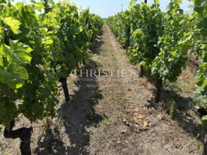 Propriété viticole en AOC Saint-Émilion Grand Cru