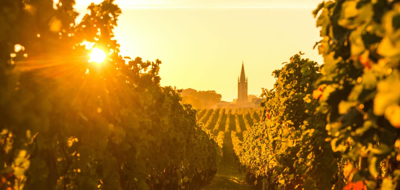 The Vineyards of Bordeaux at a Glance