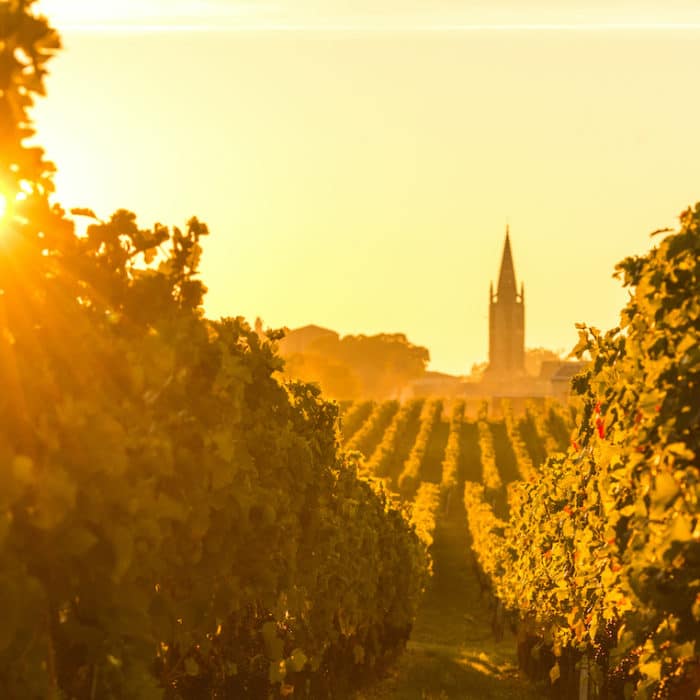The Vineyards of Bordeaux at a Glance