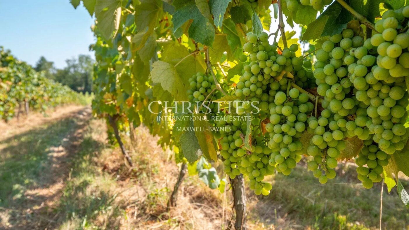 Vente Superbe domaine de Bas Armagnac Biologique