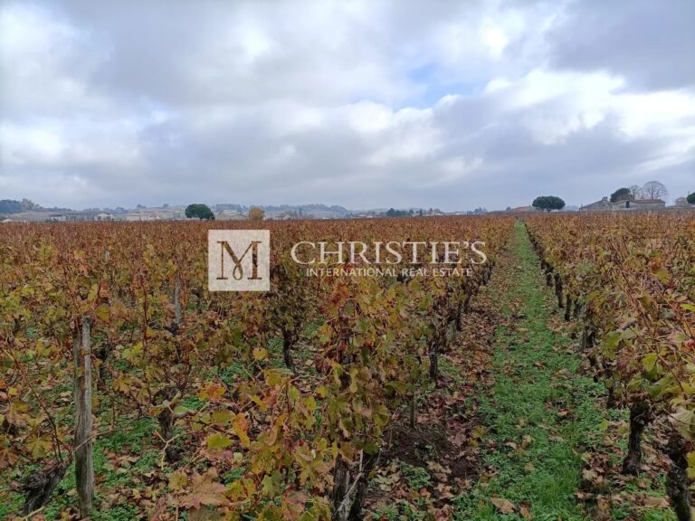 Beautiful vineyard estate - AOC Saint Emilion