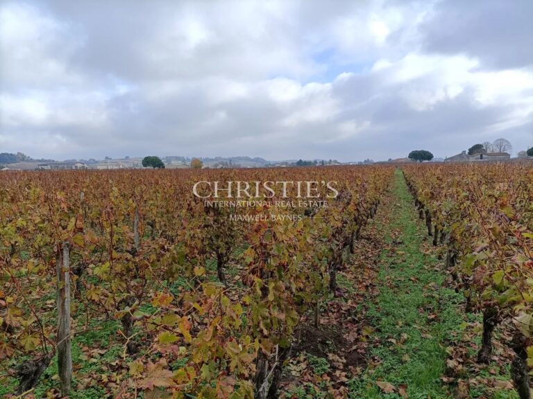 Belle propriété viticole - AOC Saint-Emilion