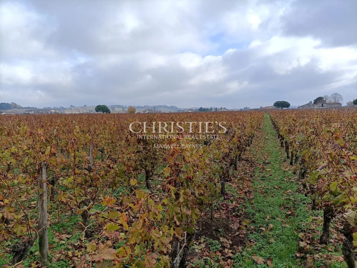 Beautiful vineyard estate - AOC Saint Emilion
