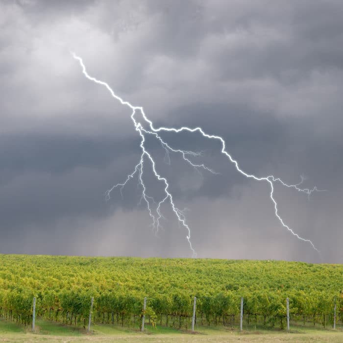 Hail storms in Bordeaux vineyards – reducing the risk with technology