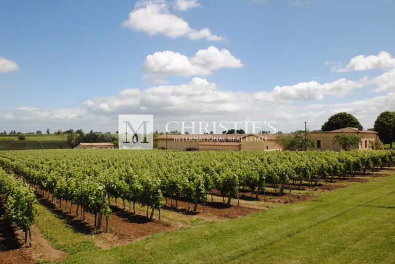 For sale Turnkey organic vineyard estate of 26 ha - perfectly maintained!