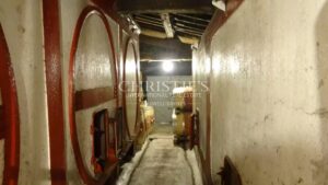 A vendre propriété de 15 ha , beau terroir en Agriculture Biologique