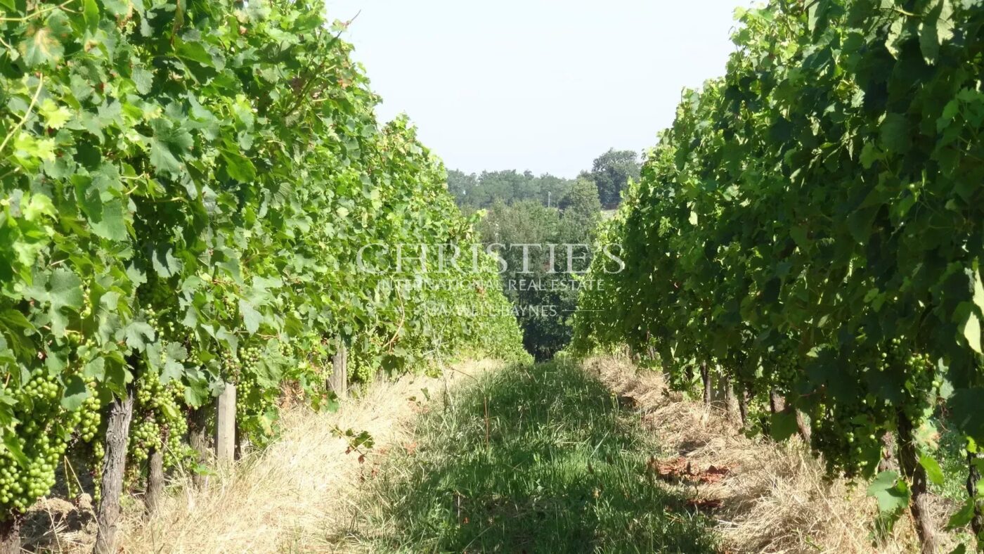 A vendre propriété de 15 ha , beau terroir en Agriculture Biologique