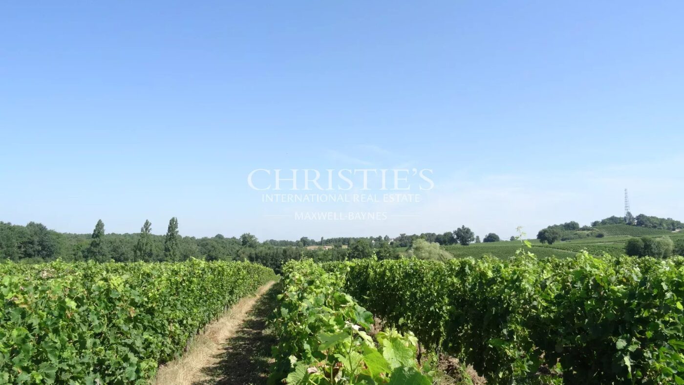 A vendre propriété de 15 ha , beau terroir en Agriculture Biologique