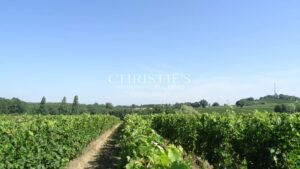 A vendre propriété de 15 ha , beau terroir en Agriculture Biologique