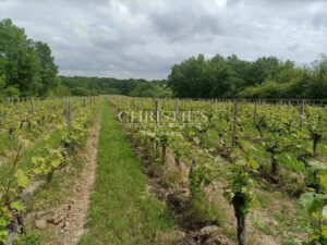 A vendre propriété de 15 ha , beau terroir en Agriculture Biologique
