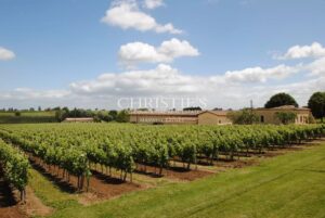A vendre propriété viticole de 26 ha – Très bien entretenue – Clé en main !