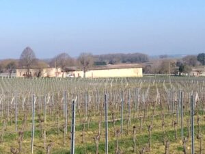 A vendre propriété viticole de 26 ha – Très bien entretenue – Clé en main !