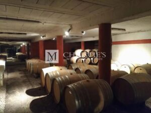 Une très charmante propriété viticole aux portes de Bergerac
