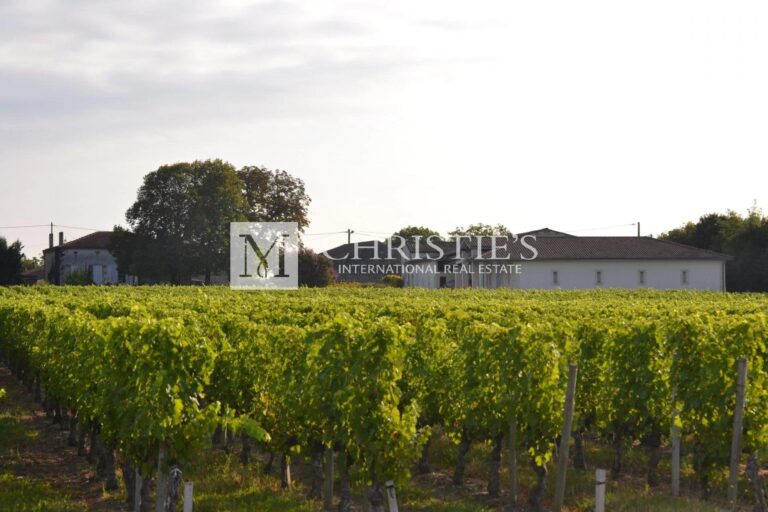 AOC Moulis vineyard estate of 16 ha in one single block with a stone house to renovate