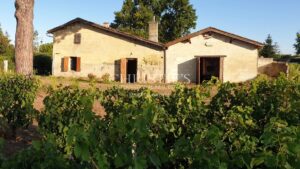 A vendre environ 2,5 ha de vignes en AOC Saint-Emilion avec petite maison à rénover