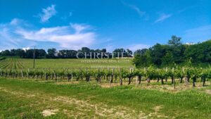 28 ha de vignes - Magnifique terroir - Belle bâtisse !