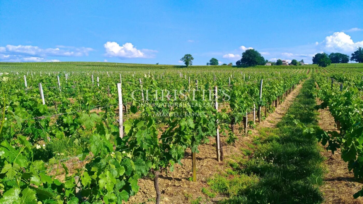 28 ha de vignes - Magnifique terroir - Belle bâtisse !