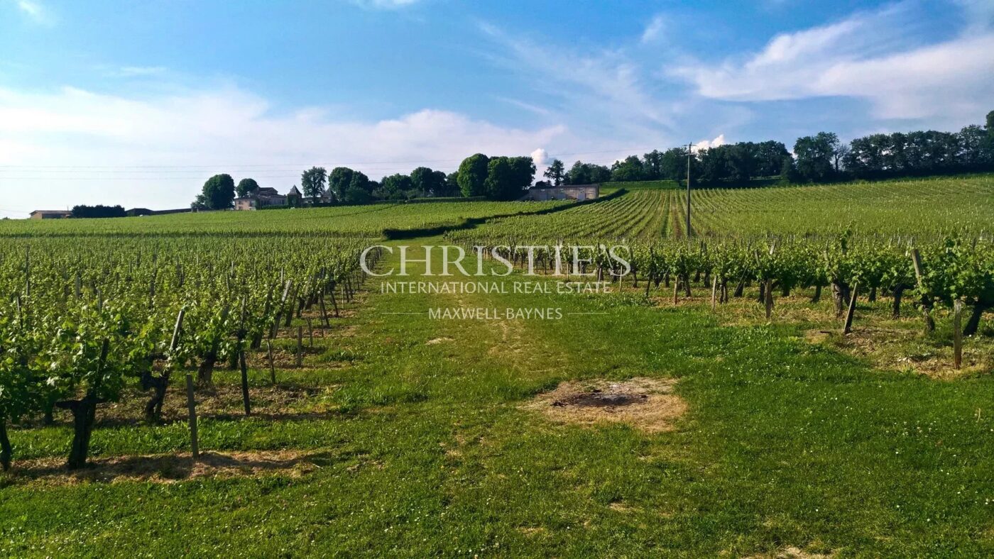 28 ha de vignes - Magnifique terroir - Belle bâtisse !