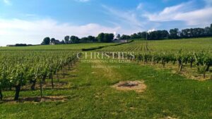 28 ha de vignes - Magnifique terroir - Belle bâtisse !