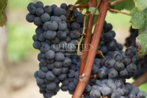 Historic château and vineyard estate on the outskirts of Saint-Émilion with exceptional terroir