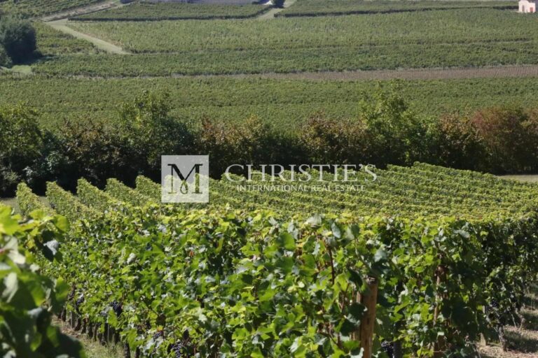 For sale emblematic Bordeaux vineyard estate with quality terroir