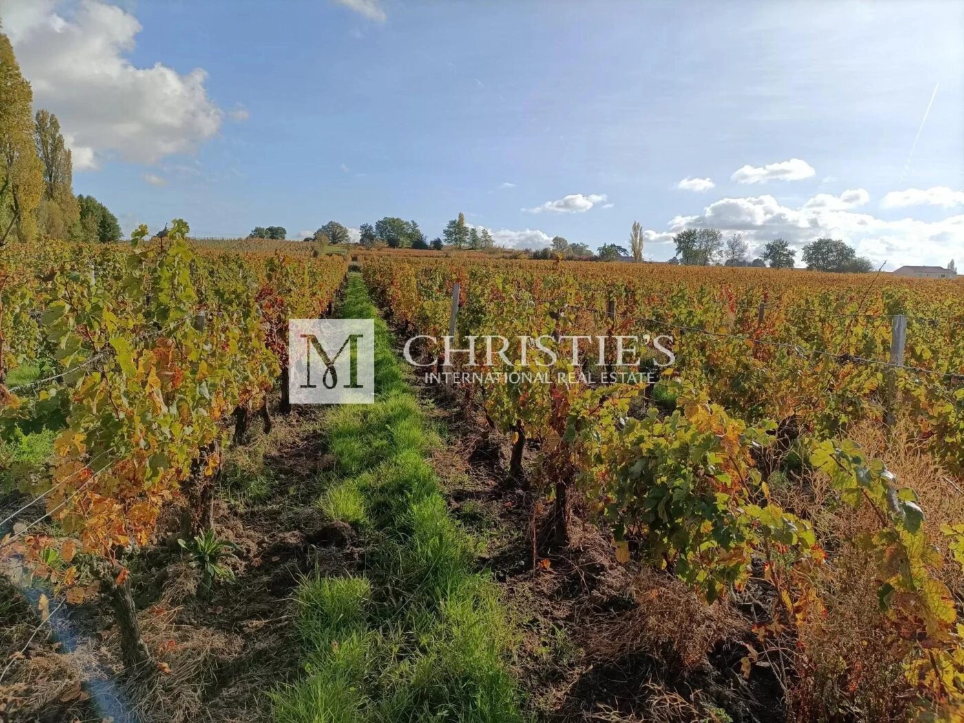 A vendre belle propriété viticole clé en main en AOC Côtes de Bourg / Blaye-Côtes de Bordeaux