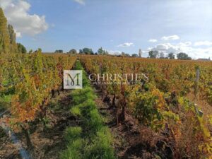 A vendre belle propriété viticole clé en main en AOC Côtes de Bourg / Blaye-Côtes de Bordeaux