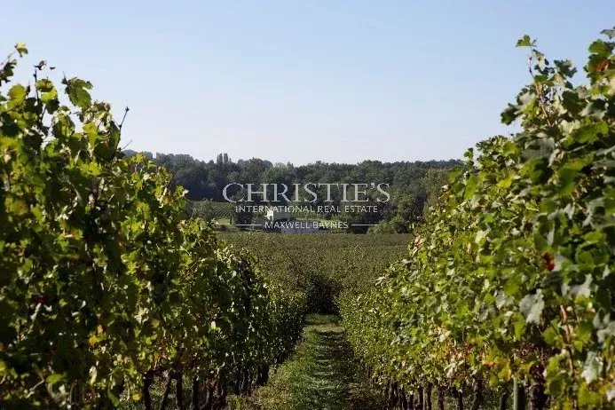 A vendre belle propriété viticole de 31,5 ha environ en Saint-Emilionnais