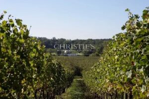 位于圣埃美隆地区,约31.5公顷的美丽葡萄园庄园待售