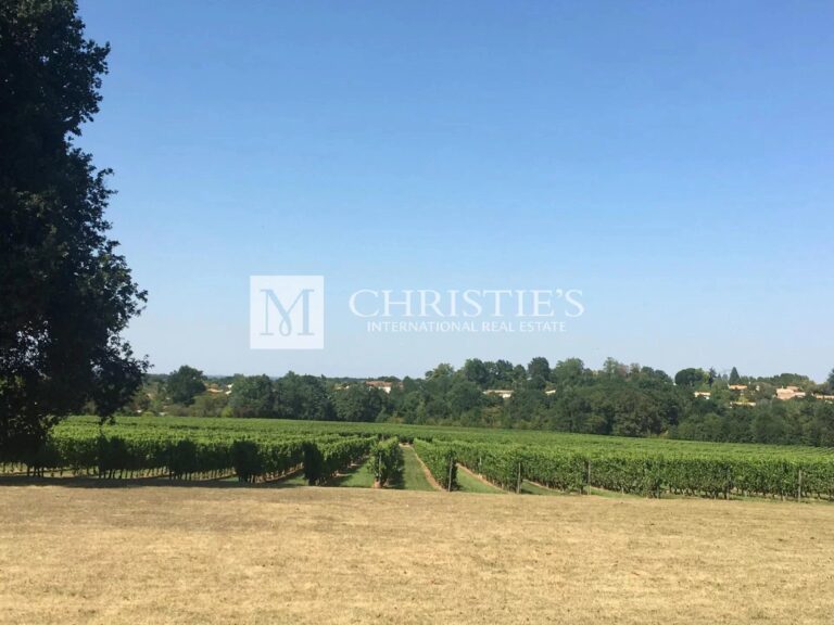 For sale vineyard estate of about 12 ha near Bordeaux