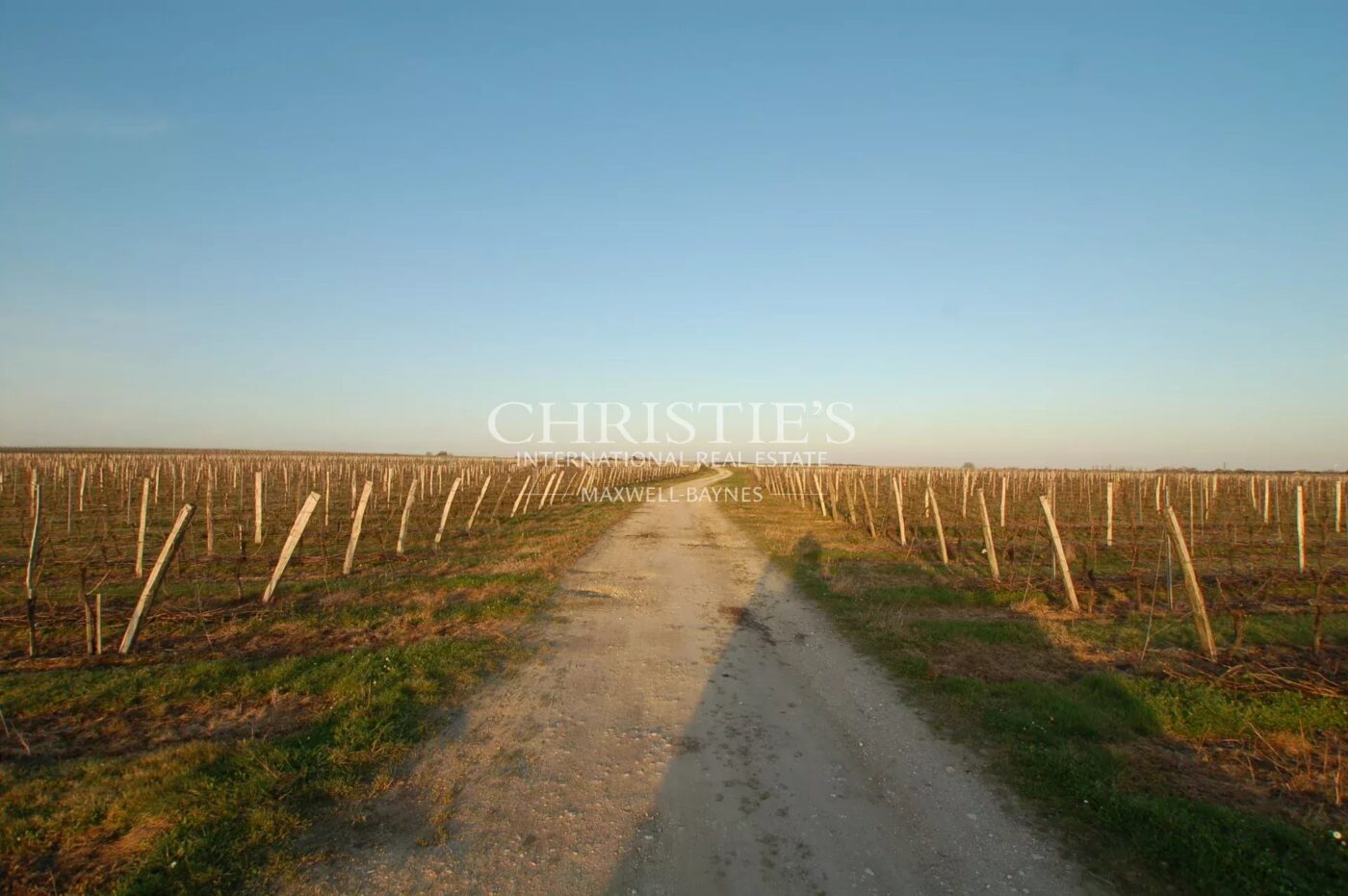 Vineyard estate in excellent condition with efficient winery