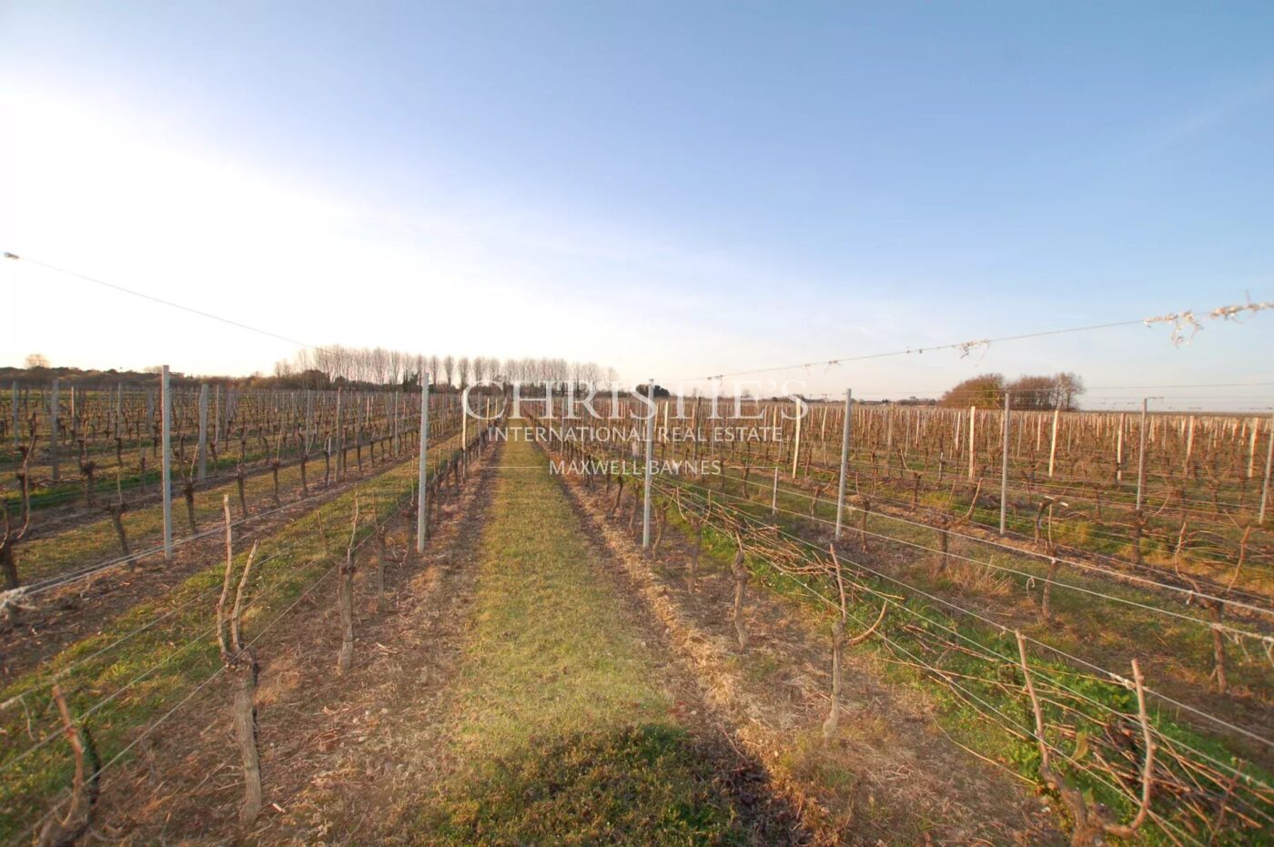 Vineyard estate in excellent condition with efficient winery