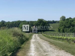 A vendre, à 10 min de Sainte Foy la Grande, Propriété viticole de caractère de 92ha en conversion biologique, AOC Bordeaux