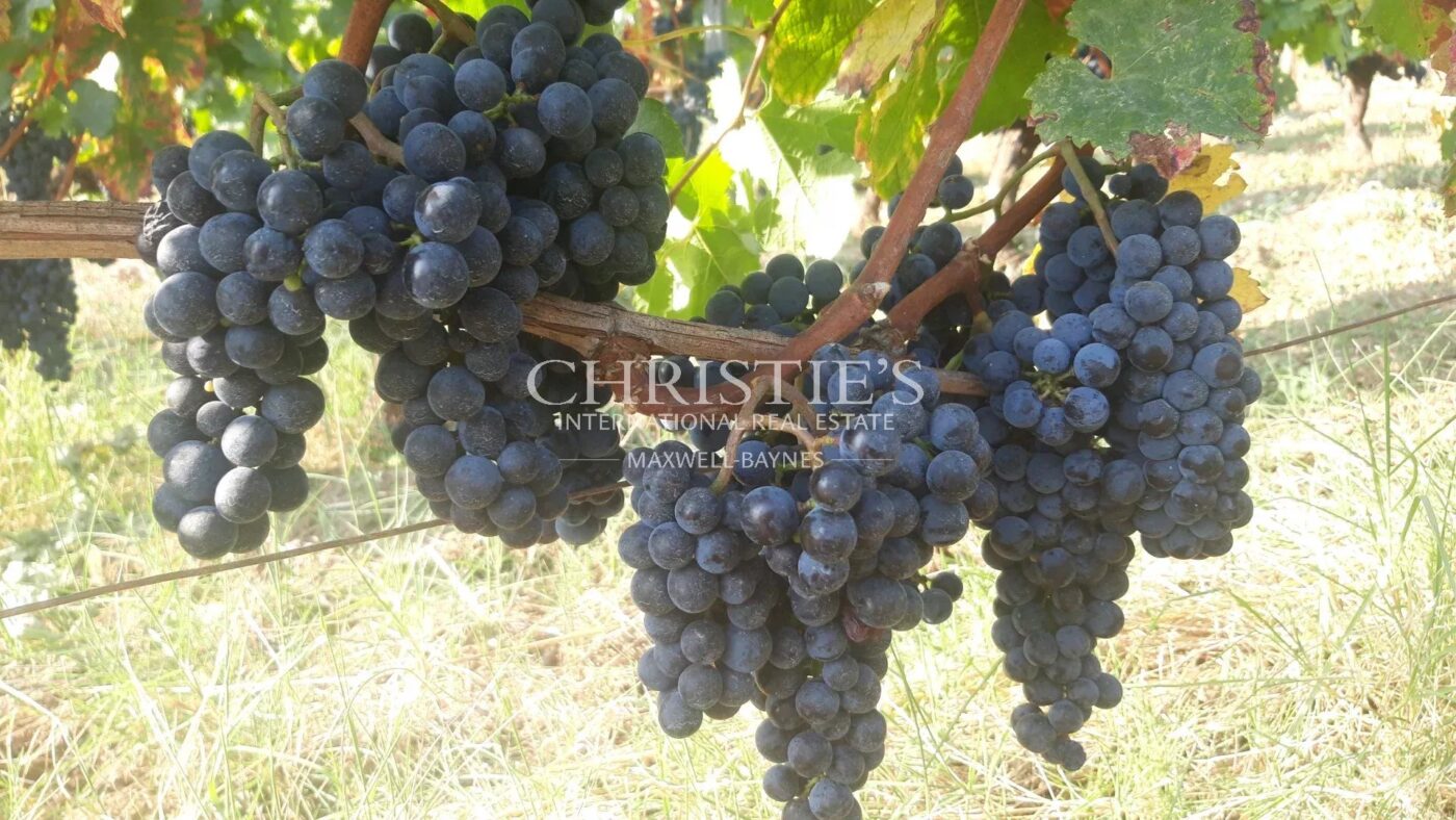 A vendre jolie propriété de 1 ha en AOC Saint-Emilion