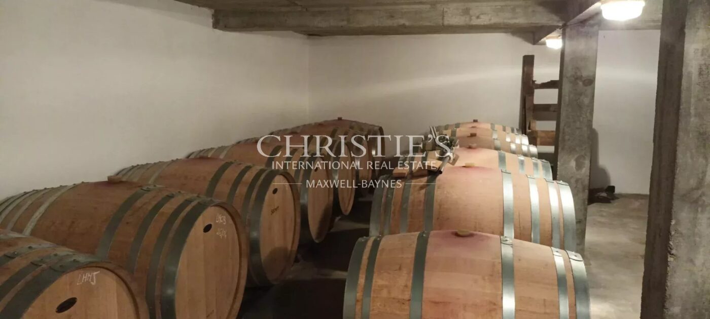 A vendre jolie propriété de 1 ha en AOC Saint-Emilion