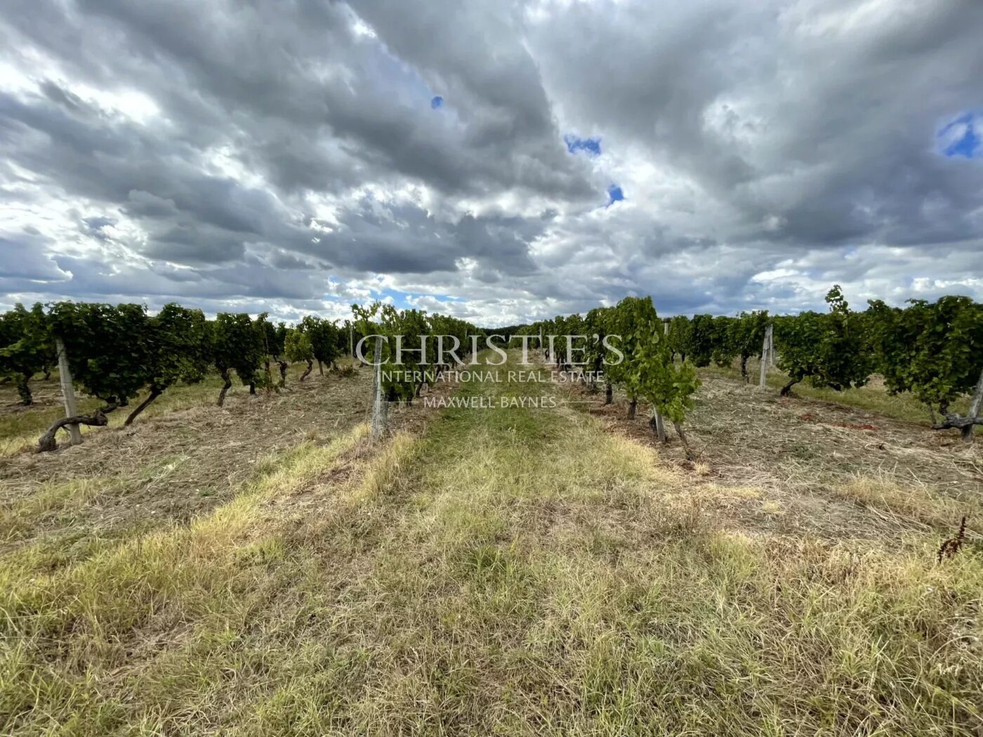 A vendre, à 15 min de Bergerac, Propriété familiale et son vignoble de 13ha, AOC Bergerac